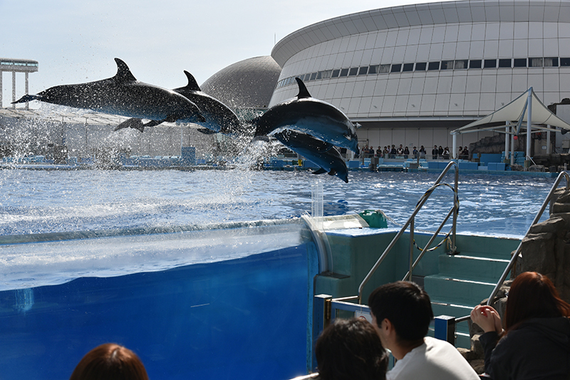 名古屋港水族館_e0164563_14083603.jpg