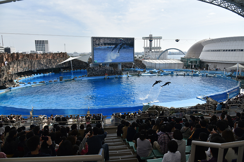 名古屋港水族館_e0164563_14083748.jpg