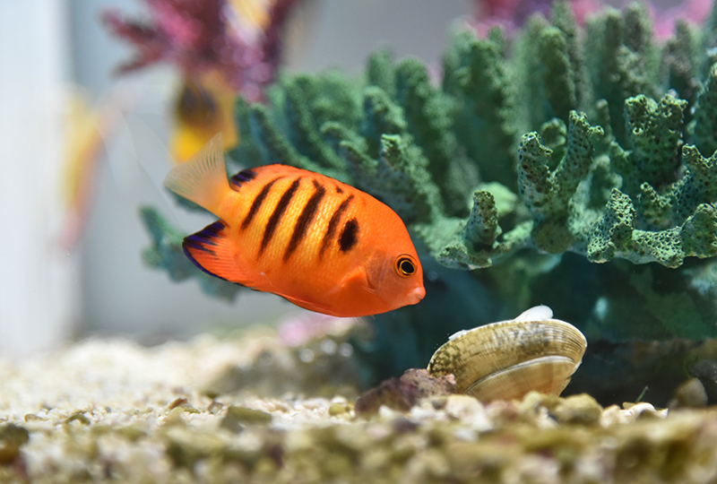 名古屋港水族館_e0164563_14085156.jpg