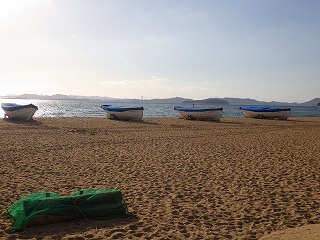 11月14日_f0202368_17222758.jpg