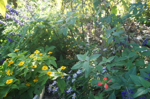 e0181373_20384368.jpg