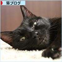 女子のはずなのに_a0389088_10311308.jpg