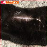 女子のはずなのに_a0389088_10311310.jpg