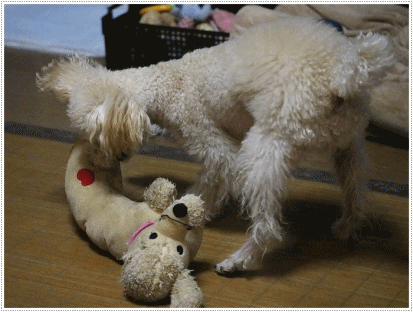 b0175688_20201028.gif