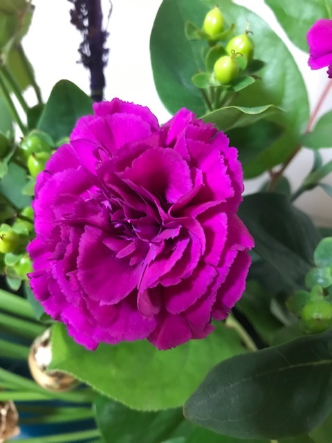 パラレル_f0204295_13381618.jpg