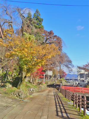 配送日の秋風景から_c0336902_19284920.jpg