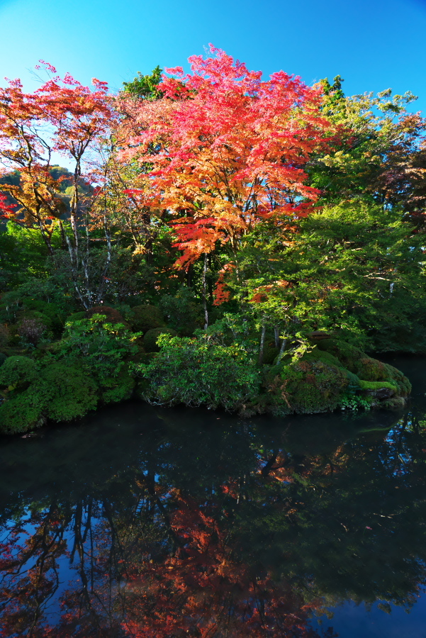 日光山輪王寺の日本庭園「逍遥園」1_a0263109_15214207.jpg