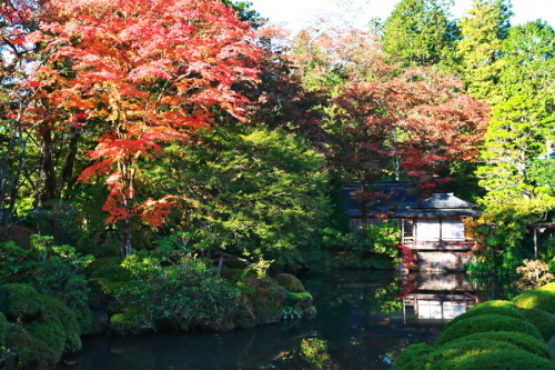 日光山輪王寺の日本庭園「逍遥園」1_a0263109_15214272.jpg