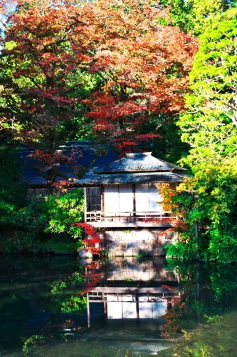 日光山輪王寺の日本庭園「逍遥園」1_a0263109_15214287.jpg