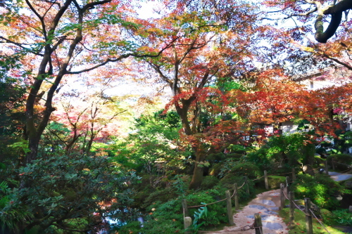 日光山輪王寺の日本庭園「逍遥園」1_a0263109_15214327.jpg