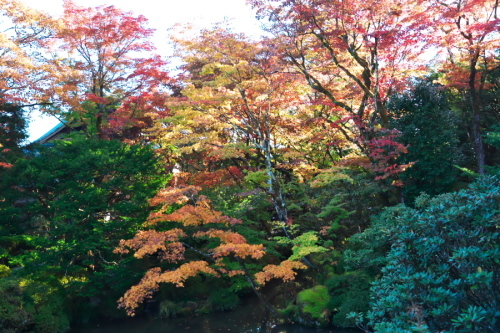 日光山輪王寺の日本庭園「逍遥園」1_a0263109_15214331.jpg
