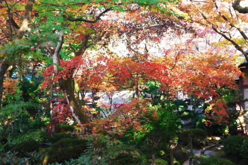 日光山輪王寺の日本庭園「逍遥園」1_a0263109_15214366.jpg