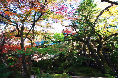 日光山輪王寺の日本庭園「逍遥園」1_a0263109_15214368.jpg