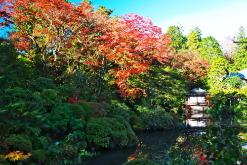 日光山輪王寺の日本庭園「逍遥園」1_a0263109_15214388.jpg