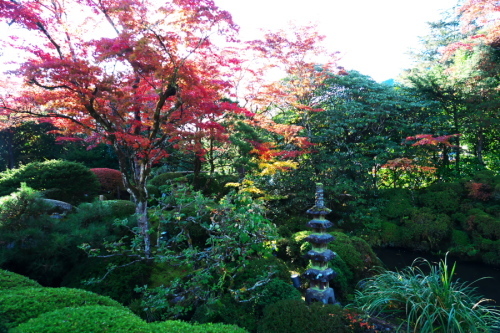 日光山輪王寺の日本庭園「逍遥園」1_a0263109_15224801.jpg