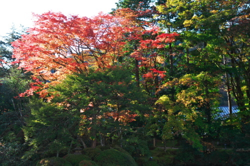 日光山輪王寺の日本庭園「逍遥園」1_a0263109_15224977.jpg