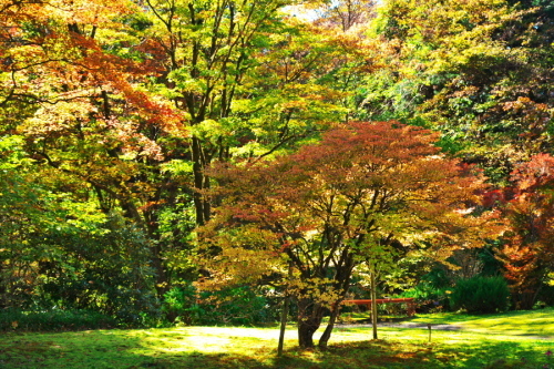 日光 田母沢御用邸記念公園の庭園1_a0263109_15383905.jpg