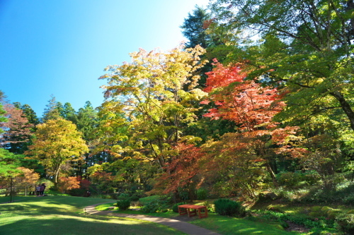 日光 田母沢御用邸記念公園の庭園1_a0263109_15391064.jpg