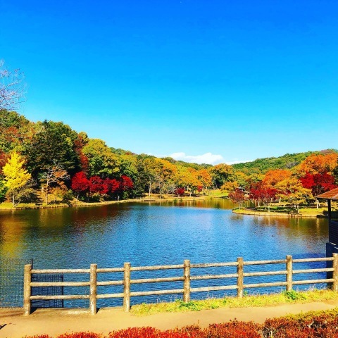 北山公園の紅葉@笠間市_b0116313_23244586.jpeg