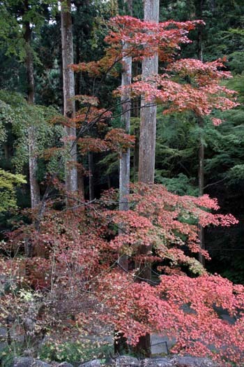 e0048413_19131675.jpg