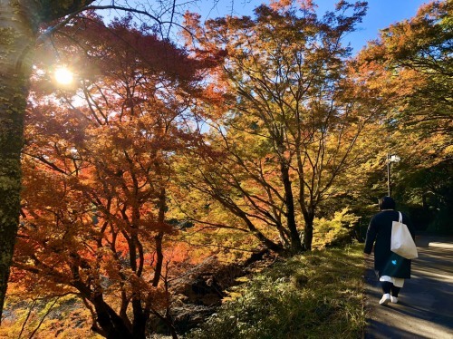 <<湯川屋 スタッフ 募集中>>_e0154524_10381351.jpg