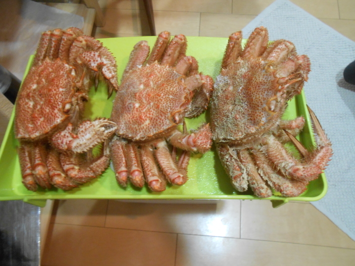 カニカニカーニバル2019 _a0095931_16480479.jpg