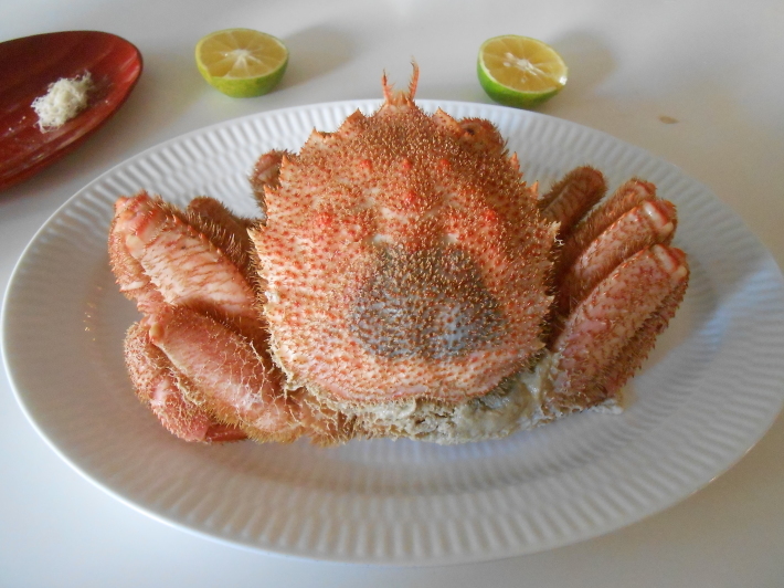 カニカニカーニバル2019 _a0095931_17193280.jpg