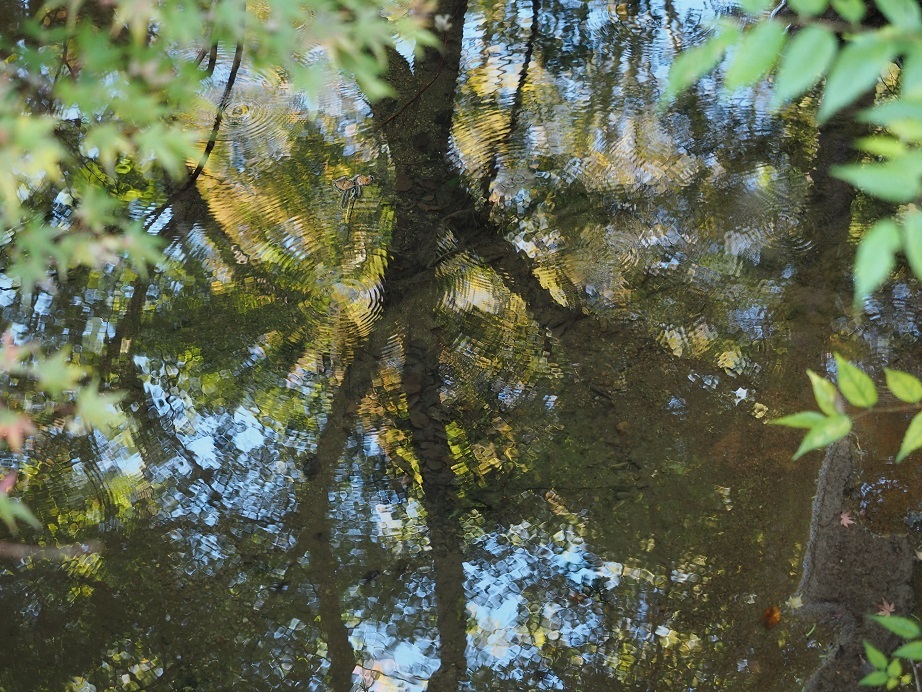 森林浴_a0332935_23482123.jpg
