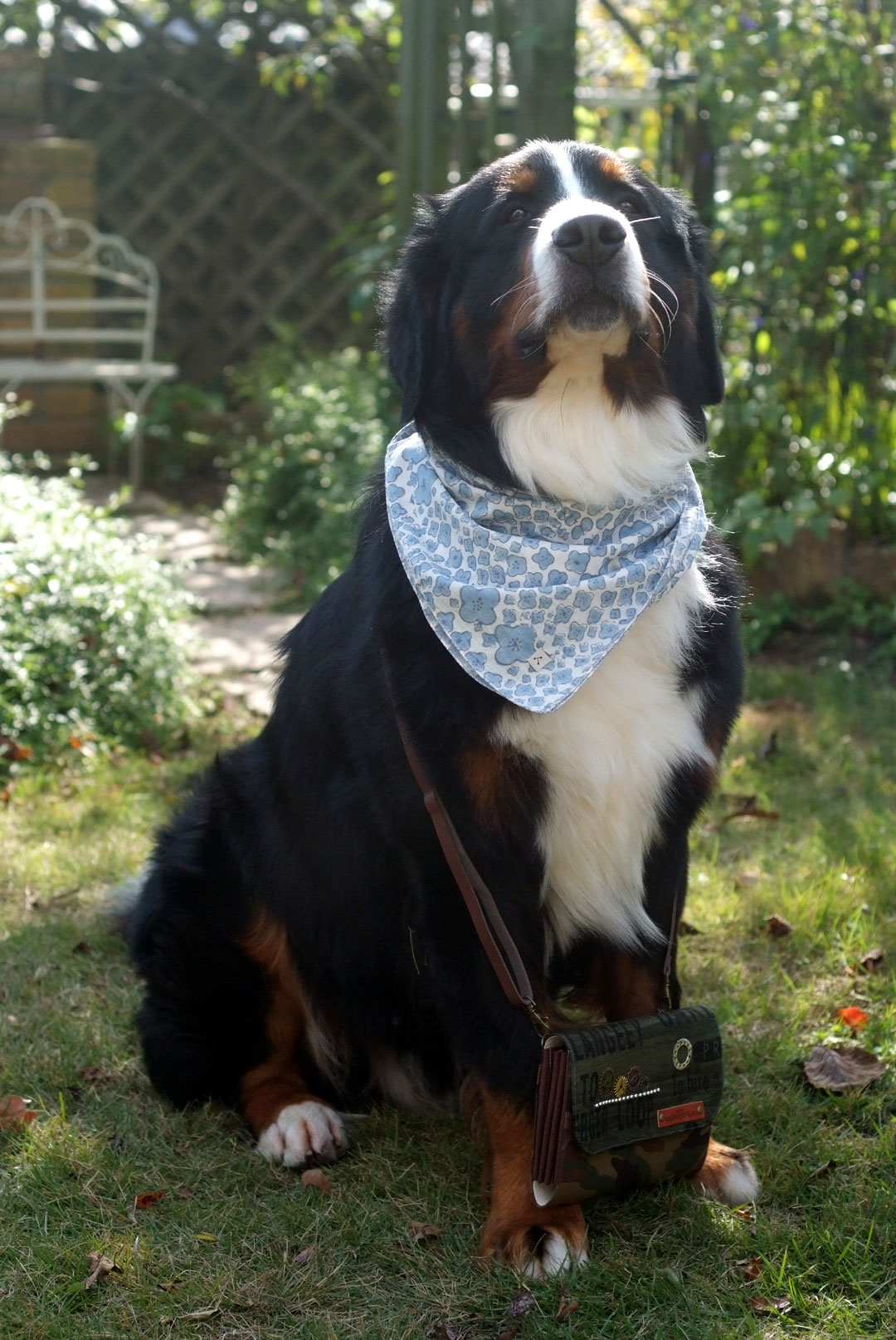 若もんカラーのバンダナ巻いてお出かけしてきま っす Reon With Lr Roses