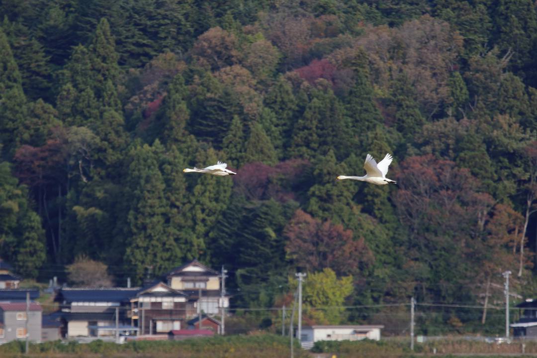 e0403850_14484573.jpg
