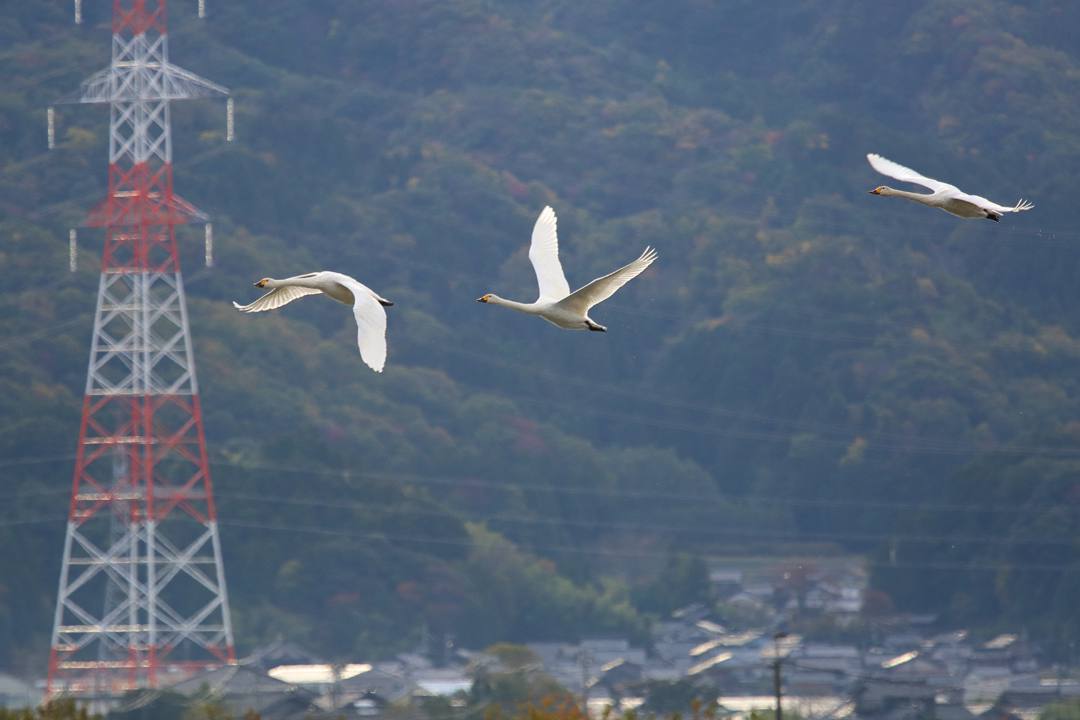 e0403850_15134491.jpg