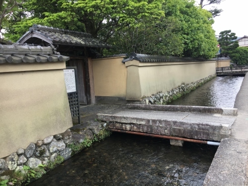 京都の旅\'19Ⅳ 京都青楓その3_e0326953_23540886.jpg