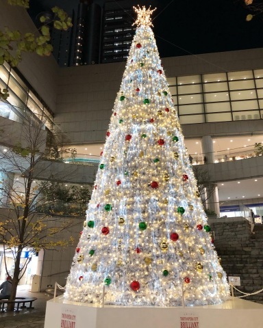 クリスマスアイシングクッキー_a0214059_05203751.jpeg