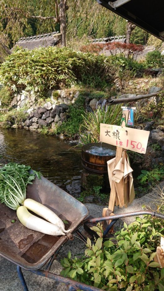 のどかな田舎の風景_e0249060_10594932.jpg