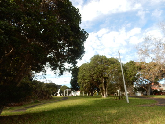 ’19,11,15(金)キョンと公園散歩と小雪ちゃん!_f0060461_10145965.jpg