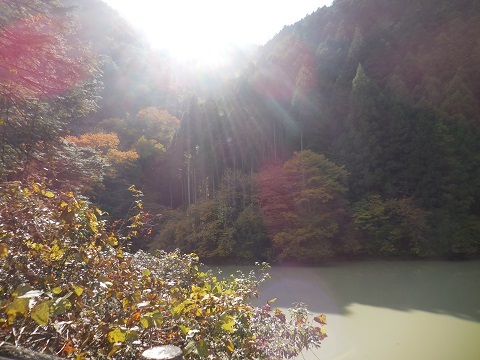 白丸ダムに行ってきた。_e0033570_21341766.jpg