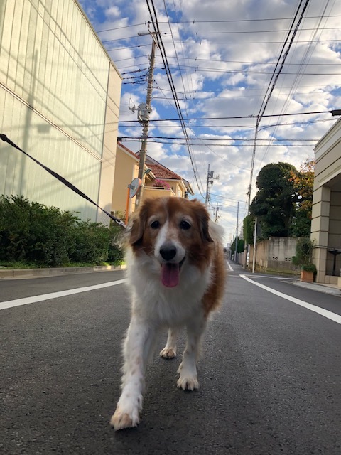 ホテルの様子(2019・11・15)_e0367571_10314152.jpg