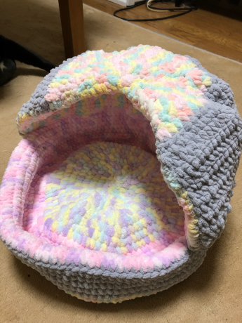 進化形は失敗作?_e0355177_14005328.jpg