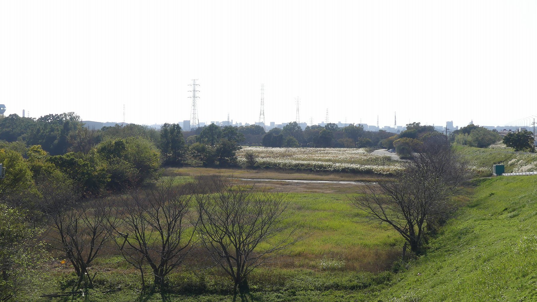 秋ヶ瀬公園ふたりぼっち その3_a0185081_10494407.jpg