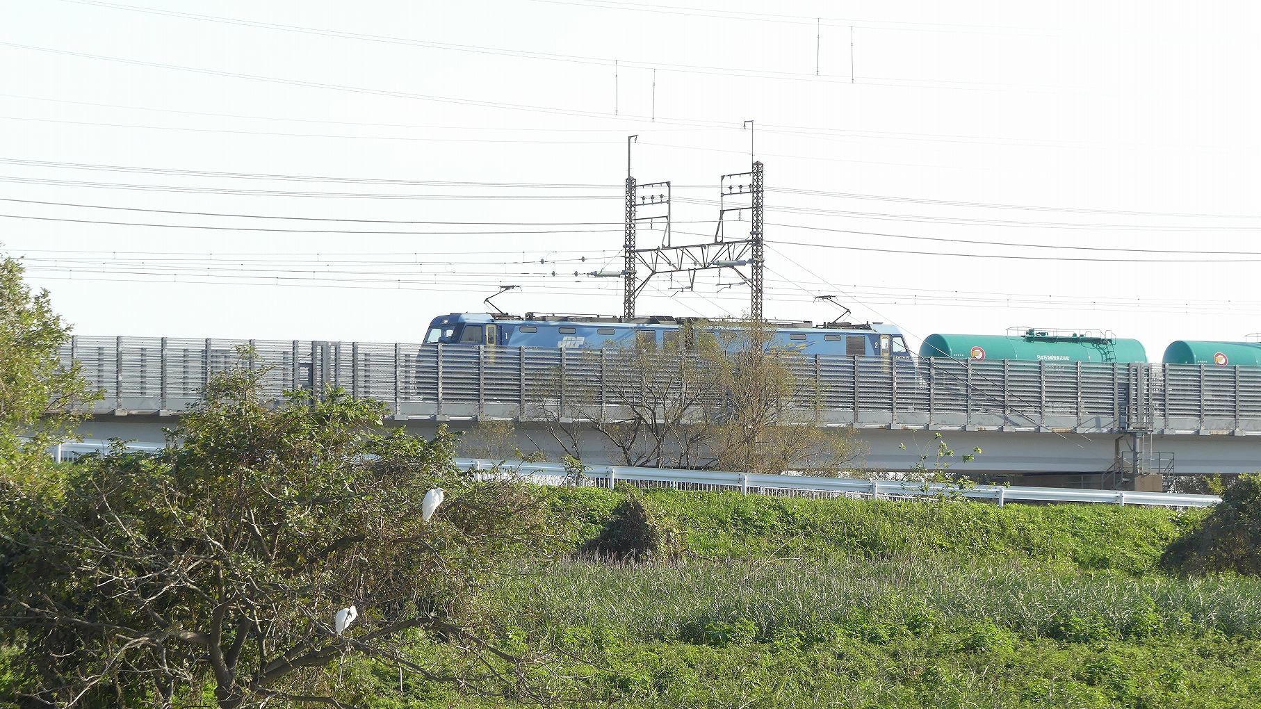 秋ヶ瀬公園ふたりぼっち その3_a0185081_10512901.jpg