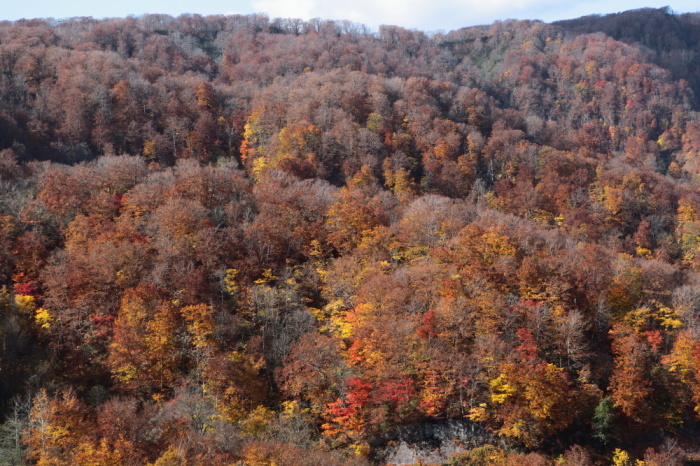 e0165983_10554195.jpg