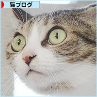 冬が来た_a0389088_08214634.jpg