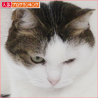 冬が来た_a0389088_08214642.jpg