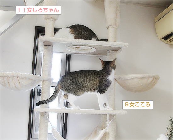 冬が来た_a0389088_08214668.jpg