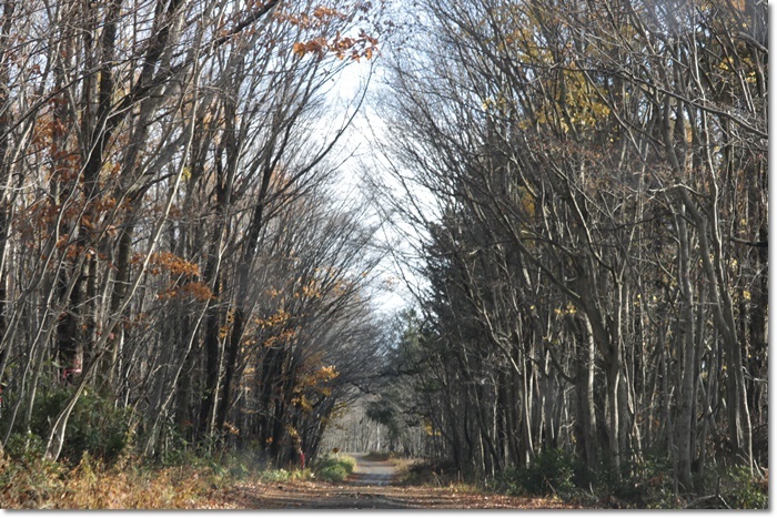 f0146493_19225185.jpg