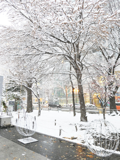 artigana-gのSAPPORO・171_b0055196_16454552.jpg
