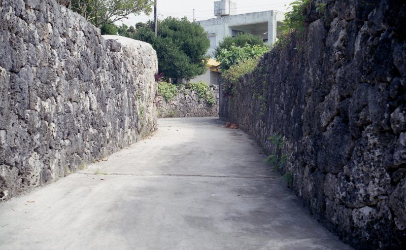 d0339617_18494073.jpg