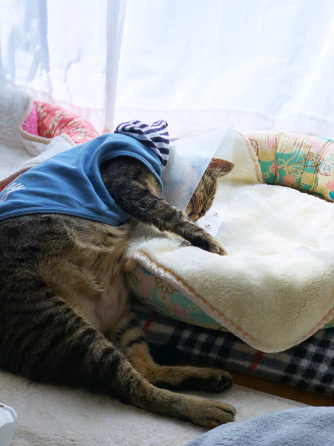 せっかく隣に座ったのに_d0355333_23270423.jpg