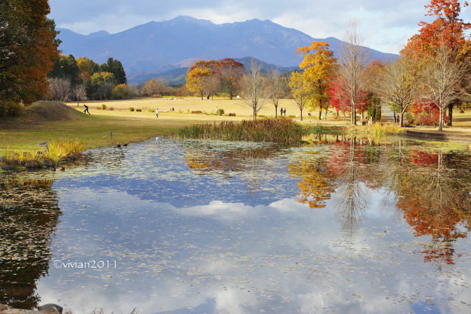 日光そばまつり2019 in 日光だいや川公園_e0227942_21570043.jpg