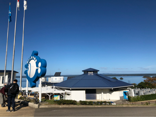 201911能登・金沢旅行記（７）～癒しの☆のとじま水族館♪_f0207146_16340009.jpg